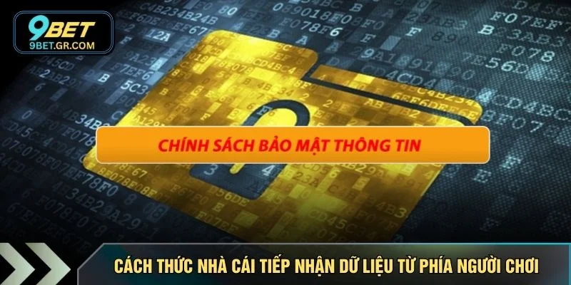 Cách thức nhà cái tiếp nhận dữ liệu từ phía người chơi
