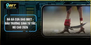 Đá Gà Cựa Dao 9BET - Đấu Trường Sinh Tử Tốc Độ Cao 2026