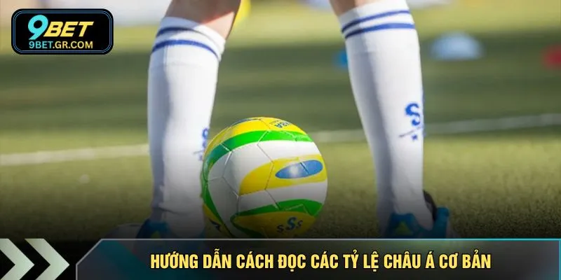 Hướng dẫn cách đọc các tỷ lệ châu á cơ bản