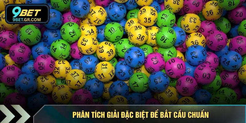 Phân tích giải đặc biệt để bắt cầu chuẩn